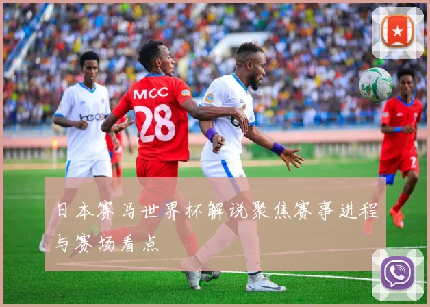 日本赛马世界杯解说聚焦赛事进程与赛场看点