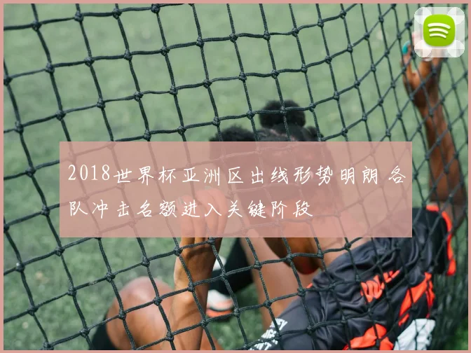 2018世界杯亚洲区出线形势明朗 各队冲击名额进入关键阶段