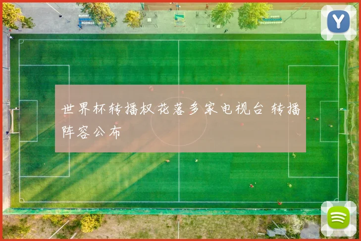 世界杯转播权花落多家电视台 转播阵容公布